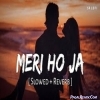 Meri Ho Ja (Slowed Reverb) LoFi Mix
